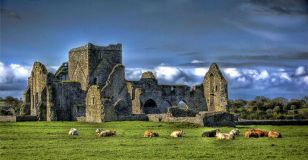 Hore Abbey