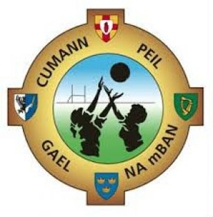 School Gaelic Football Blitz